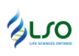 LSO